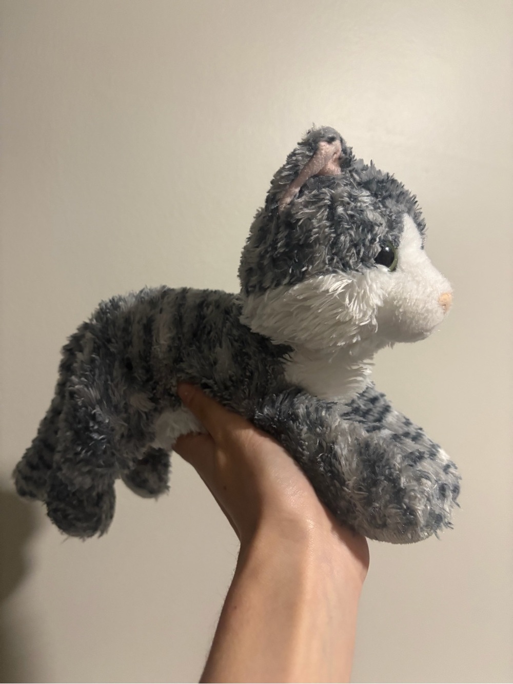Aurora Grey Tabby Cat (well-loved)